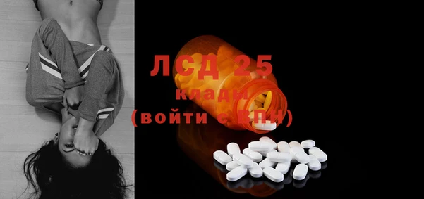 ГАЛЛЮЦИНОГЕННЫЕ ГРИБЫ Баксан